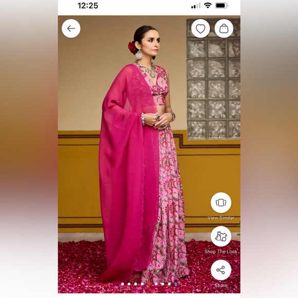 Brand new Baaro Masi lengha - Picture 2 of 5